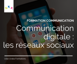 Communication digitale : les réseaux sociaux (visoconférence)