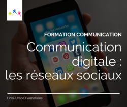 Communication digitale (Visioconférence)