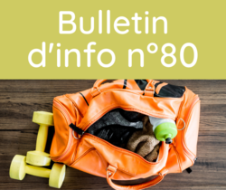 Bulletin d'information n°80 septembre 2022