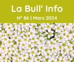 Bulletin d'information n°86 mars 2024